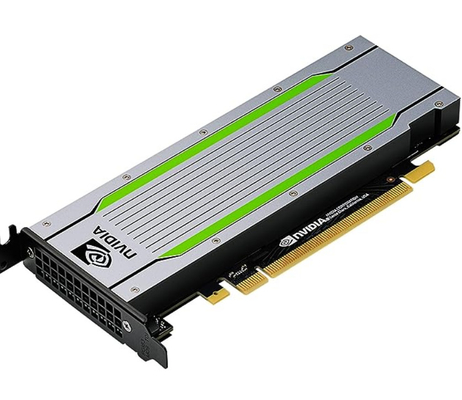 NVIDIA T4 NV 16 GB Tensor Core GPU للاستنتاج الذكي في المخزون بسعر جيد